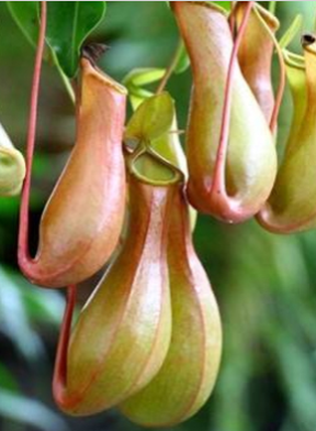 9001cc��ɳ�Գ�Ϊ��(�й�)���޹�˾����