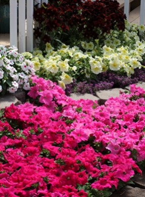 9001cc��ɳ�Գ�Ϊ��(�й�)���޹�˾����