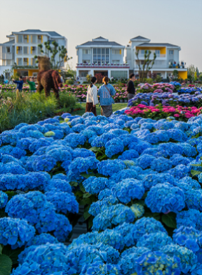 9001cc��ɳ�Գ�Ϊ��(�й�)���޹�˾����