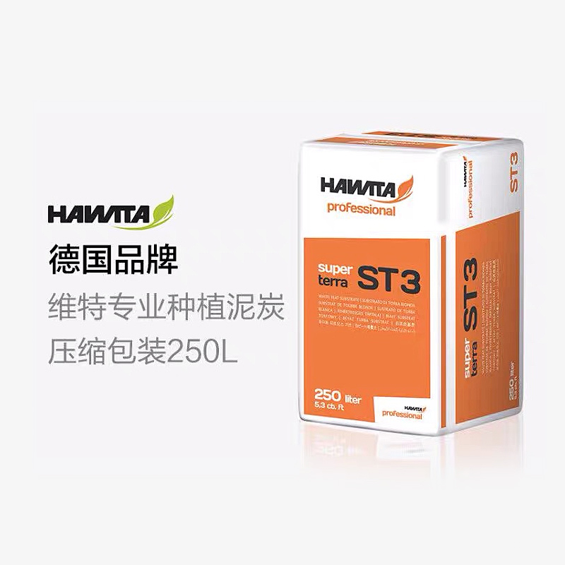 ά�������̿