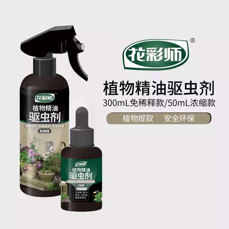 ����ʦ���澫��