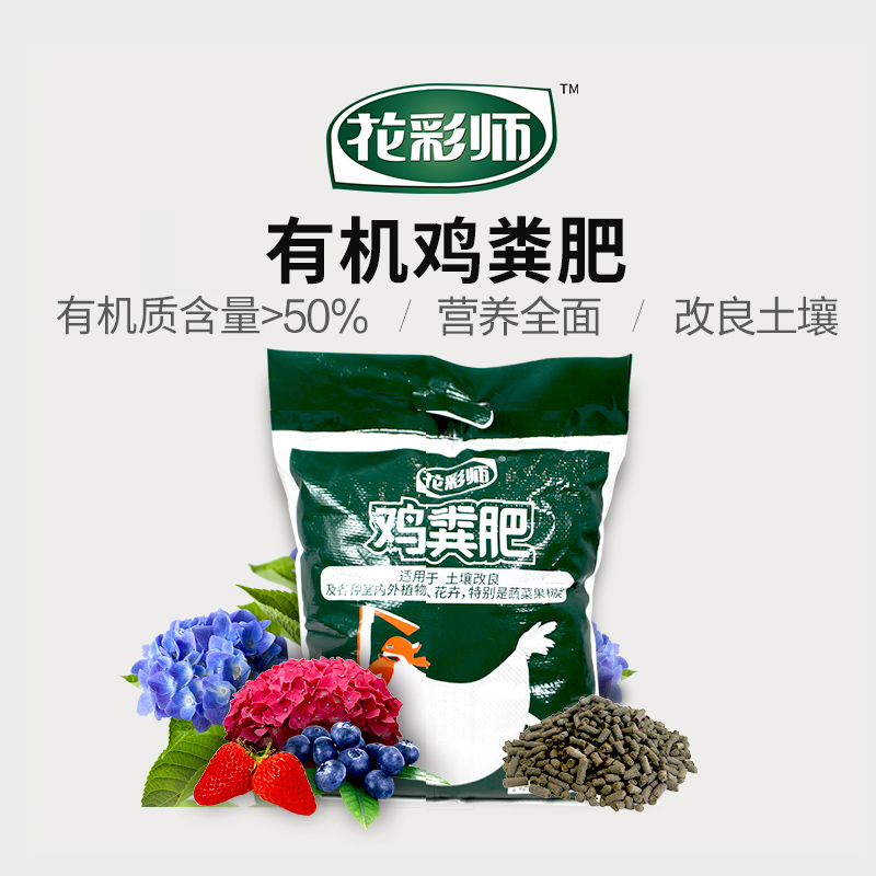 ����ʦ�л������.