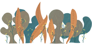 9001cc��ɳ�Գ�Ϊ��(�й�)���޹�˾����