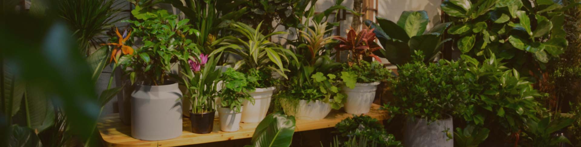 9001cc��ɳ�Գ�Ϊ��(�й�)���޹�˾����