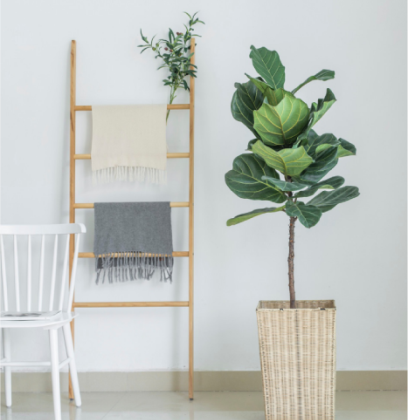 9001cc��ɳ�Գ�Ϊ��(�й�)���޹�˾����