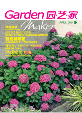 9001cc��ɳ�Գ�Ϊ��(�й�)���޹�˾����