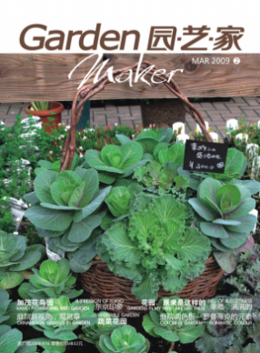 9001cc��ɳ�Գ�Ϊ��(�й�)���޹�˾����