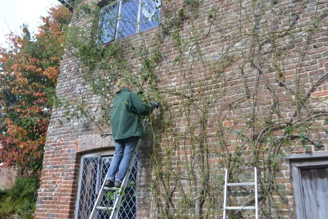 ���������⼸����������������ǽ~~