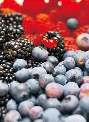 9001cc��ɳ�Գ�Ϊ��(�й�)���޹�˾����