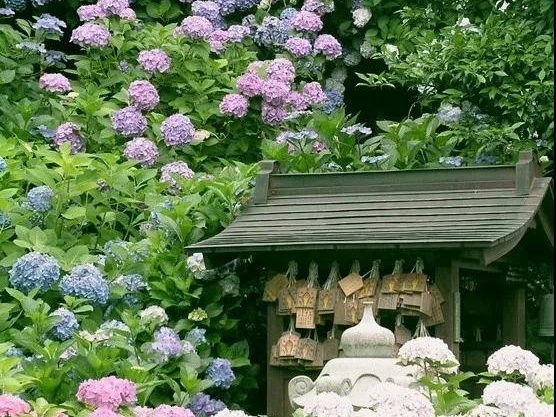 ��ϵ���� | ��������������������