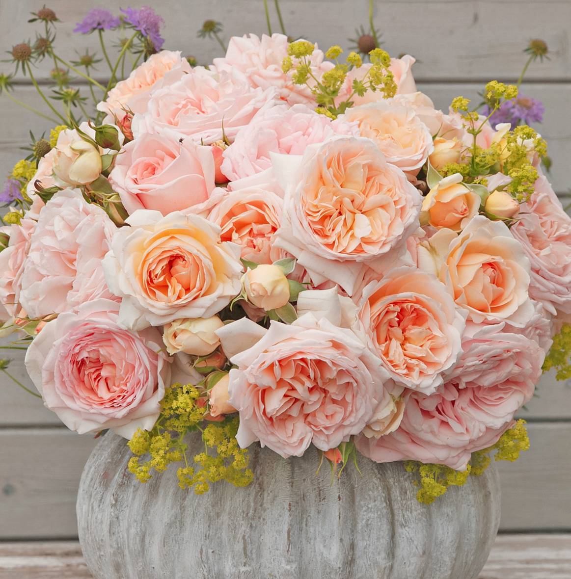 ADR������֤��������ʶʲô���������Ŀ����¼�