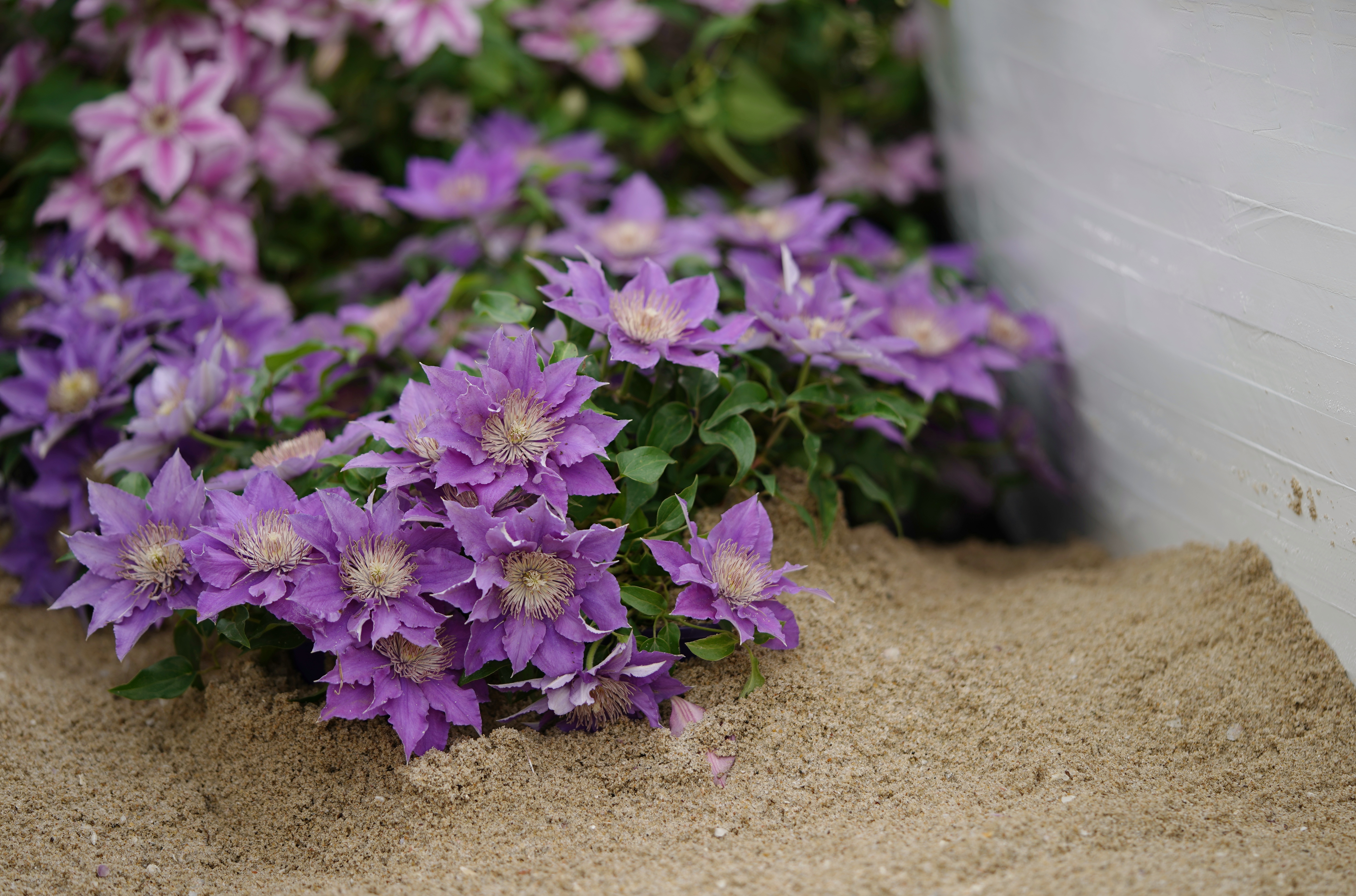 Ԥ�������������������������溦ָ��������ѧ��Ҳ�����ɶ��ģ�