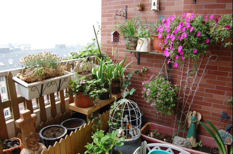 ʲô���ɿ����á�α���ա����ٽ���Ϊ԰��������