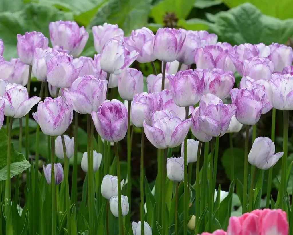 �̹��ؿ���������Ҫ��ô�ֲŶ�ѽ | ������ܳ�����?�ʴ�ƪ��3��