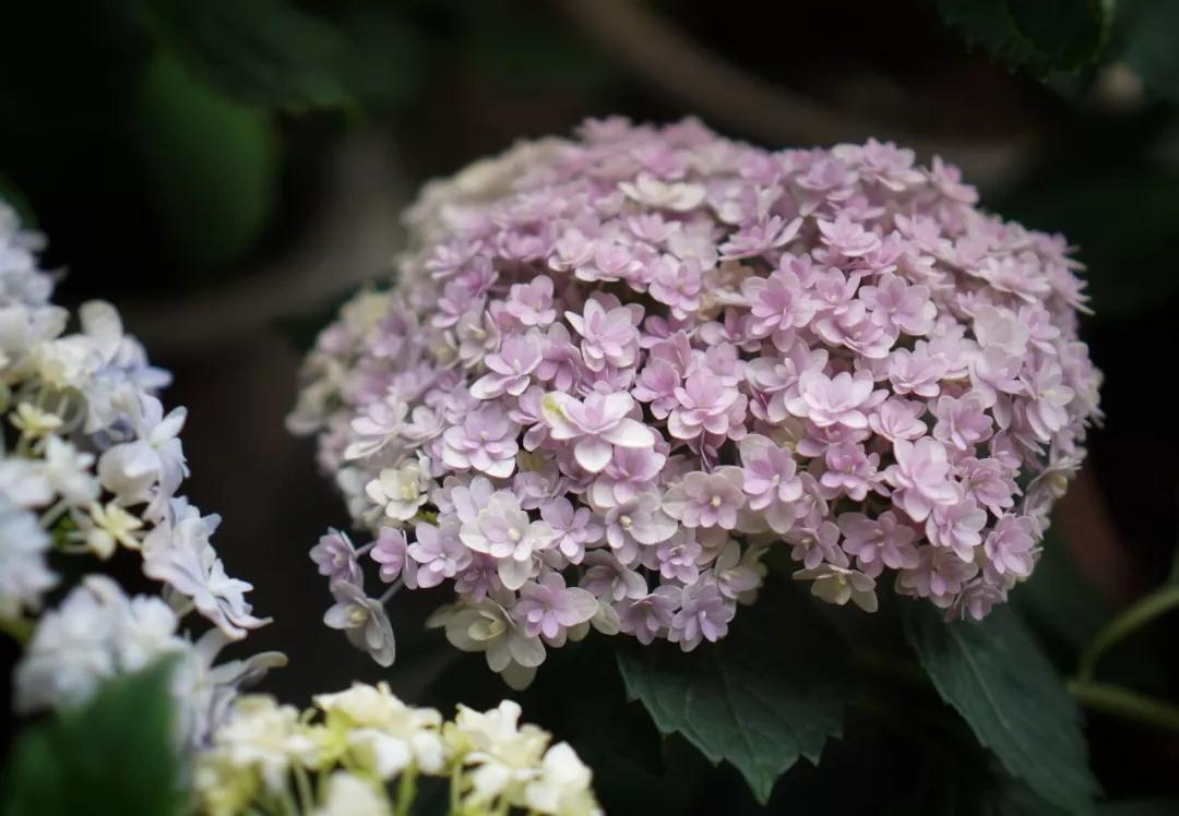 �����ܲ���ɹ�������費��Ҫ������