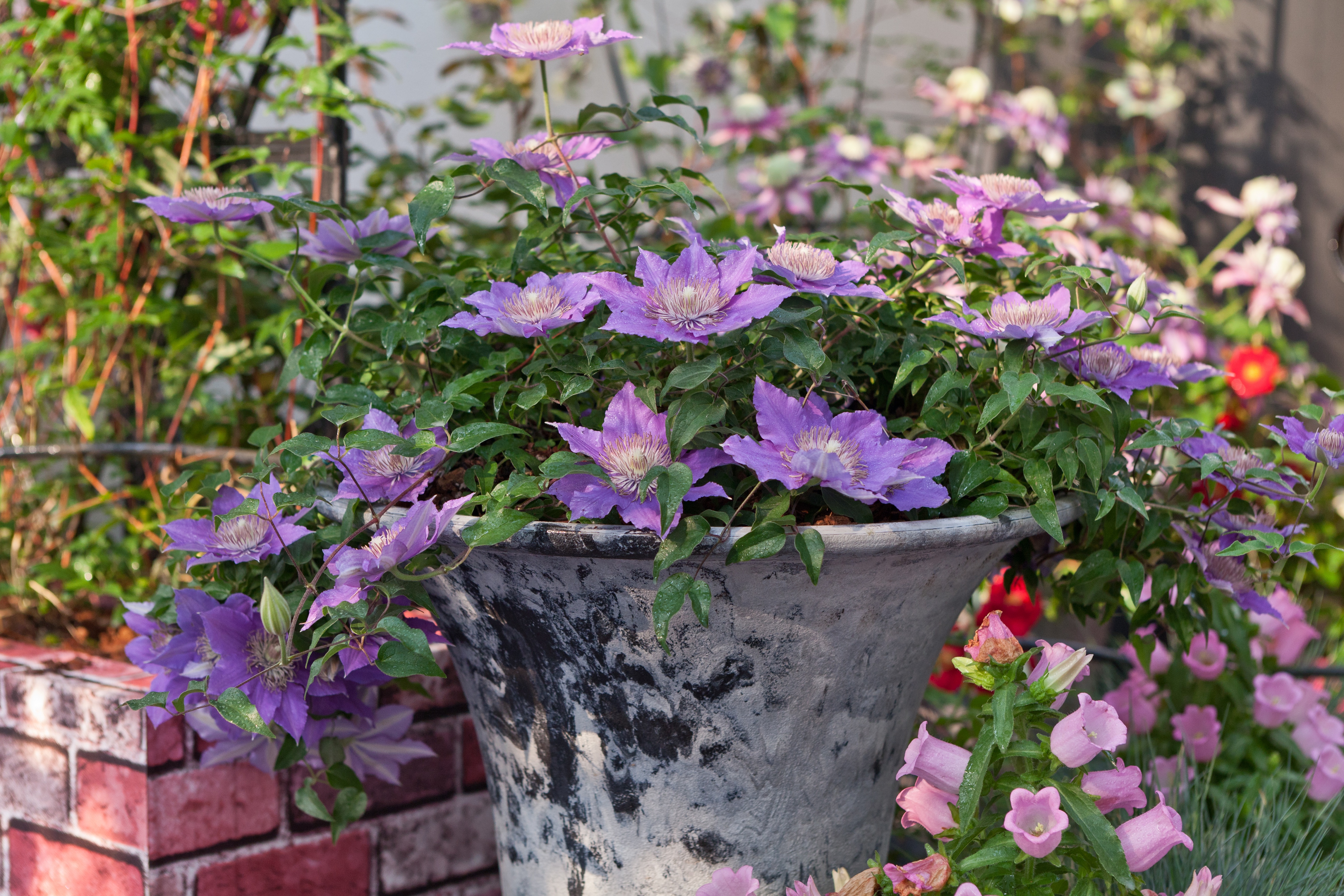 �ﶬ�����õ�����������������������ʦ���ְ��ֽ���