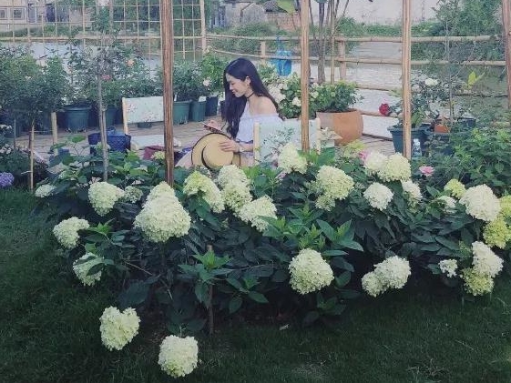 ԰������ | �㶫�¼�����ɷü�