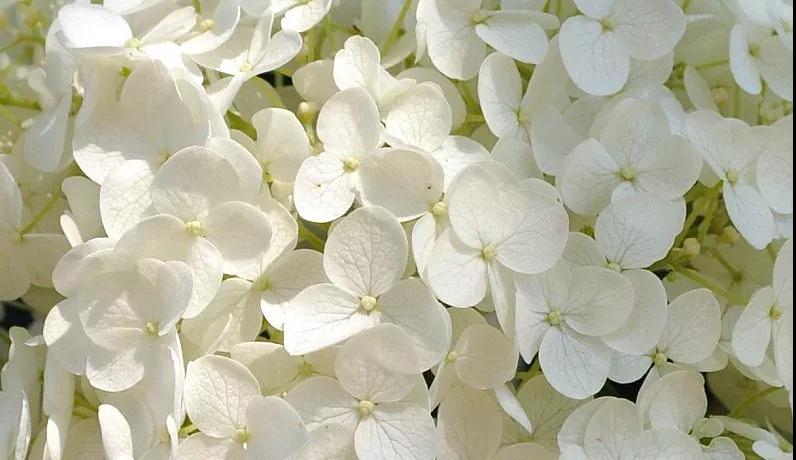 ��ľ�����׼ȷ�޼�������������ͷͺ��ǿ