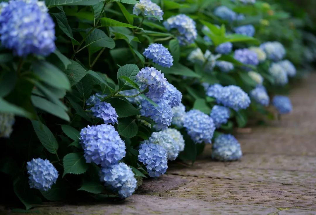 �������ʶ����ô��԰�մ��������������������һ��