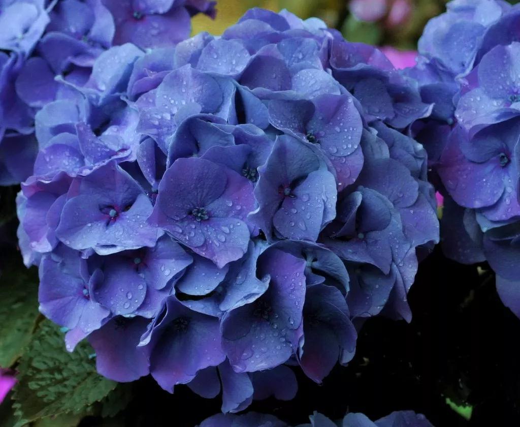 ������ʵ�ж�����������17�������Ʒ�ֺ���������