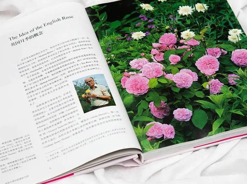 �׷����飡�Ȿ������˹͡�ױʵġ�õ��ʥ��������������