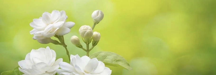 ���������������һ����������Щ��ϲ�����ǲ�֪����