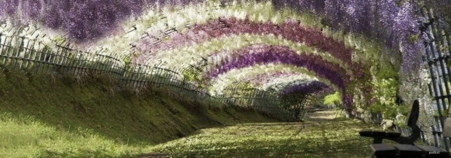 20�궼���Ż���������ֻ�������ջ�����������