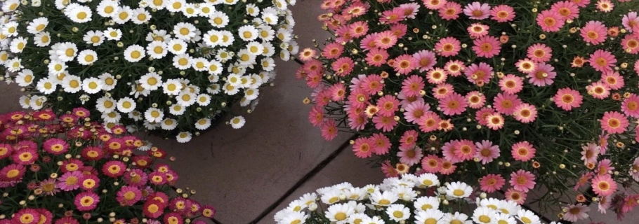 ������ؿ����趼װ����������Ҫ��ô��������˵