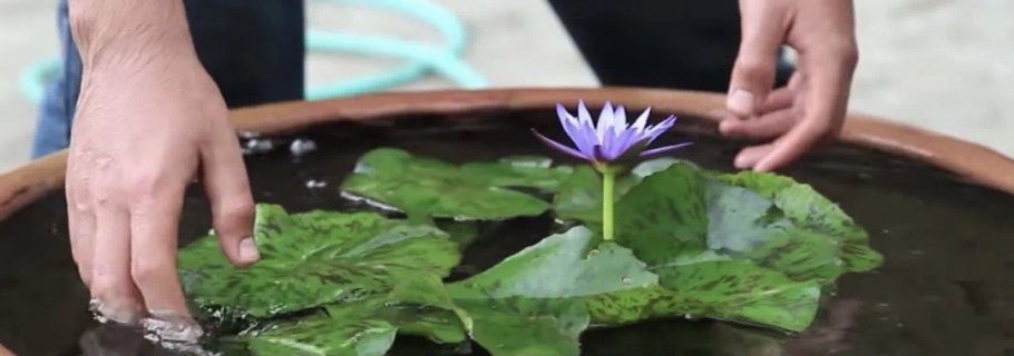 ����Ĵ��費Ҫ���� ������˯��������������