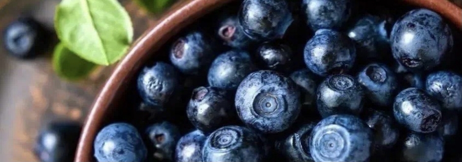 ��Ҫ��0����ѧ����ݮ����ݡ�����ָ�ϡ��͸���~