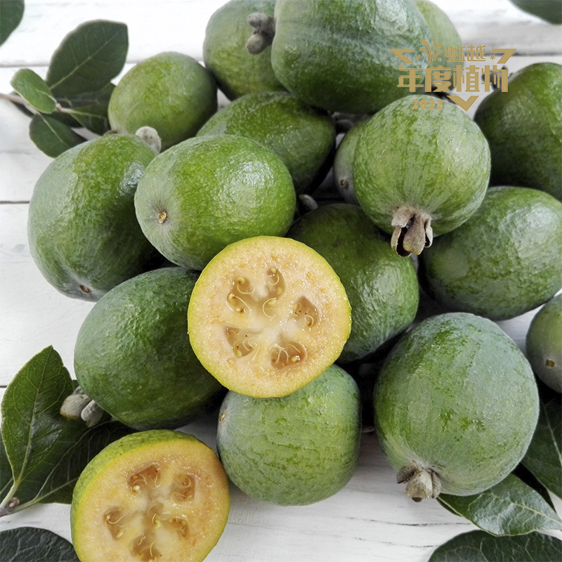 �簲? ���͹��������