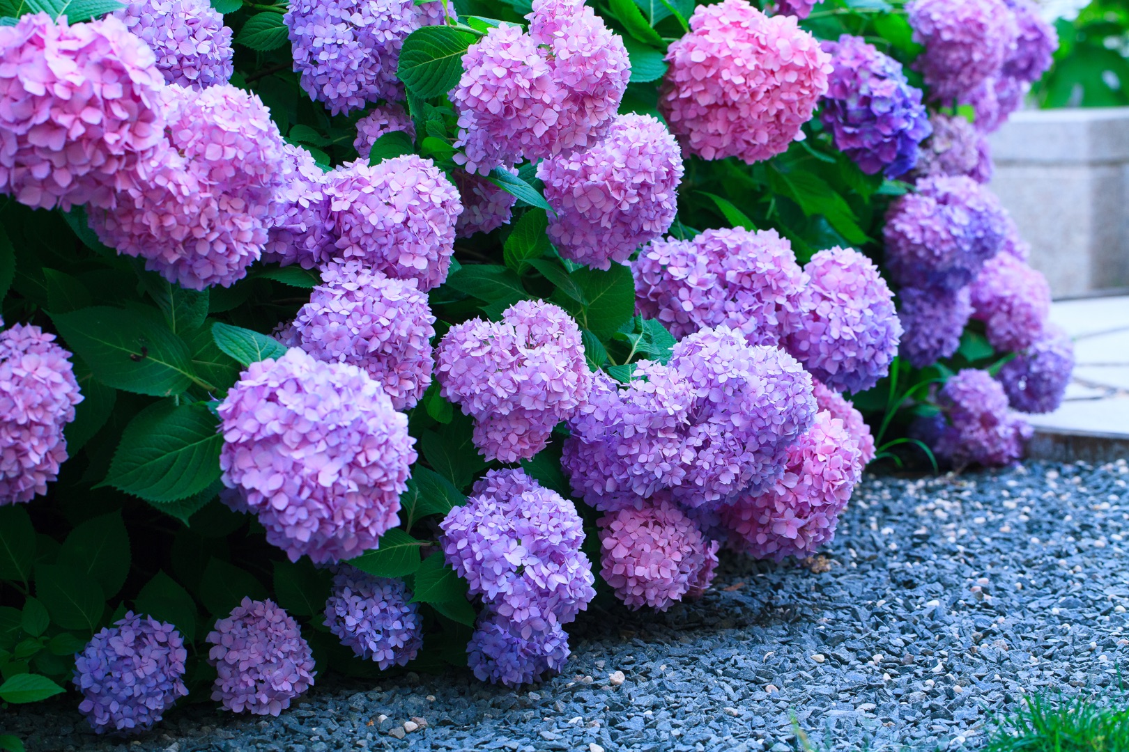 ����������Ҫ������׽ס�Ⲩ�����޼���ʱ��