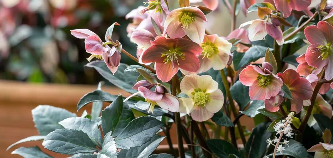 ��õ���Ѥ���������Ӳ���360�������ǵ���Ů����