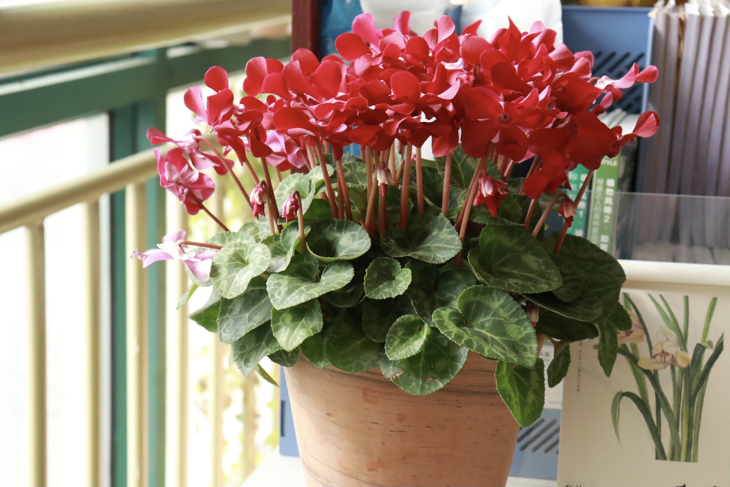 һ�Բ��Ծͱ��������������ɿ���������������