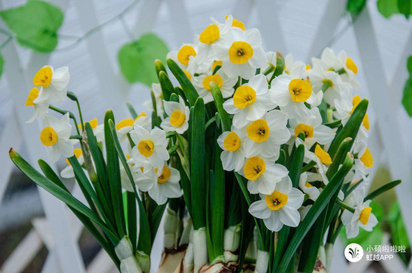 ֻҪ��ˮ�������������ѹ�ȫ���¶���������