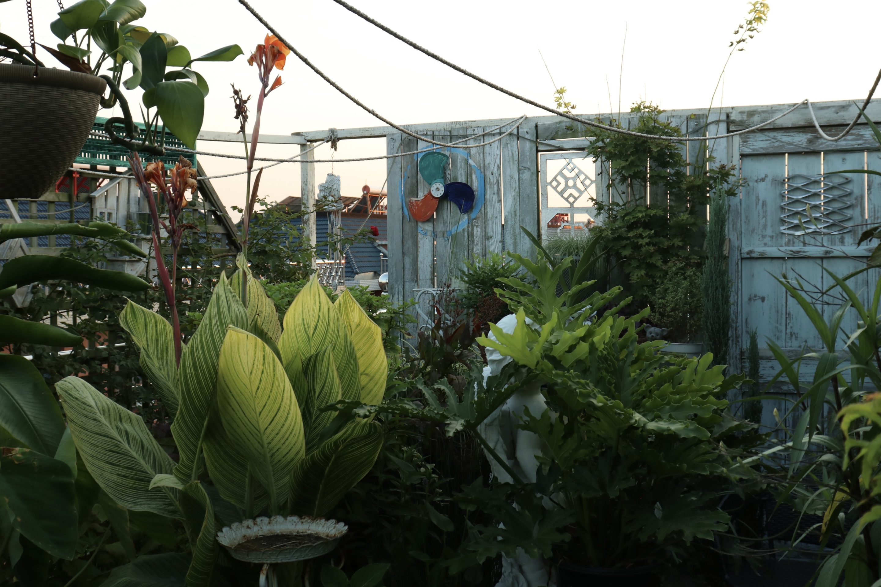 0Ԫ����ˮ����̨�����־�������������