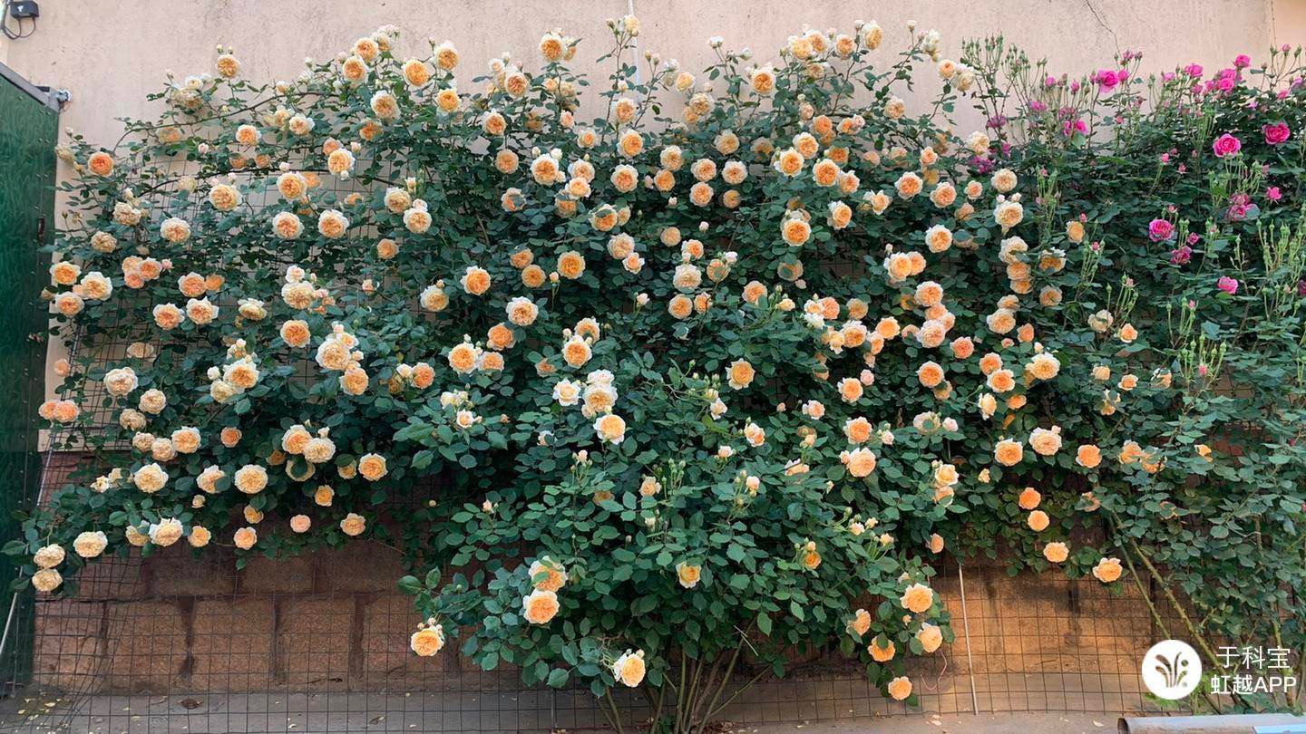 ��ǩ����Ϯ��ʮ���¼���ǽ��������㹻��