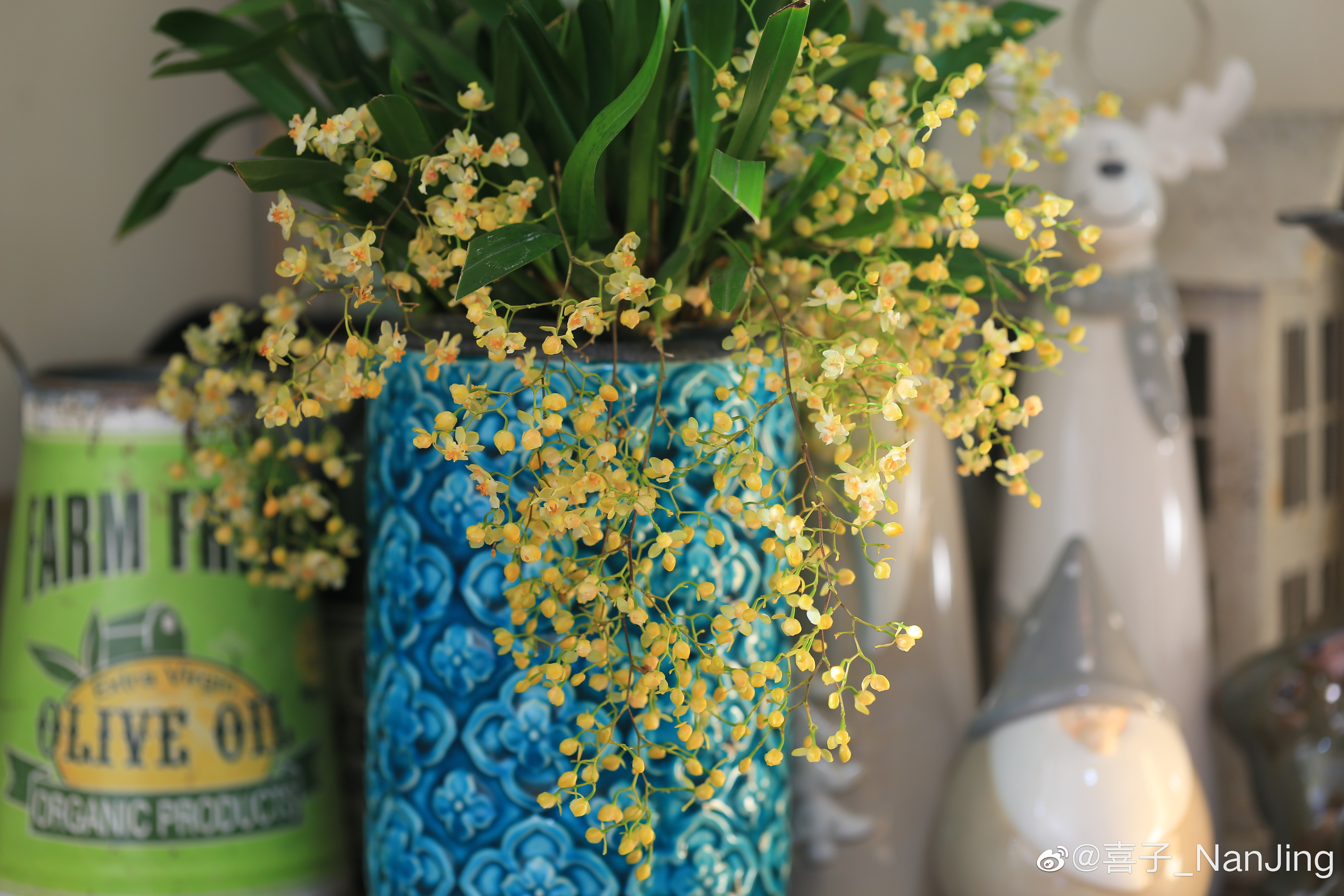 ȫ�򱬻�������������ߣ��Ļ��Ȱ������ǵ���֮��