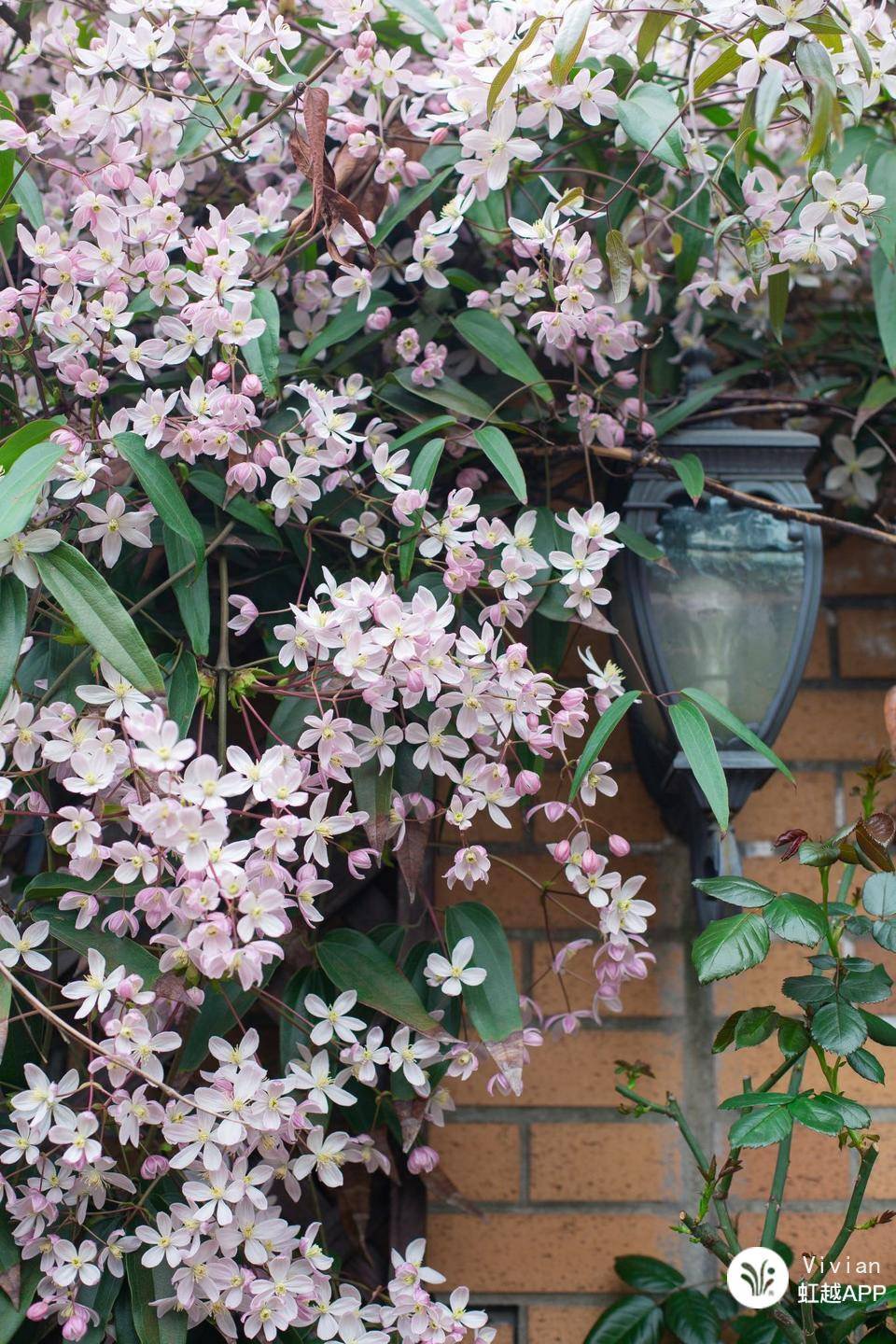 ��ѻ����ɾ�������ѧ����������Խ𡯣�