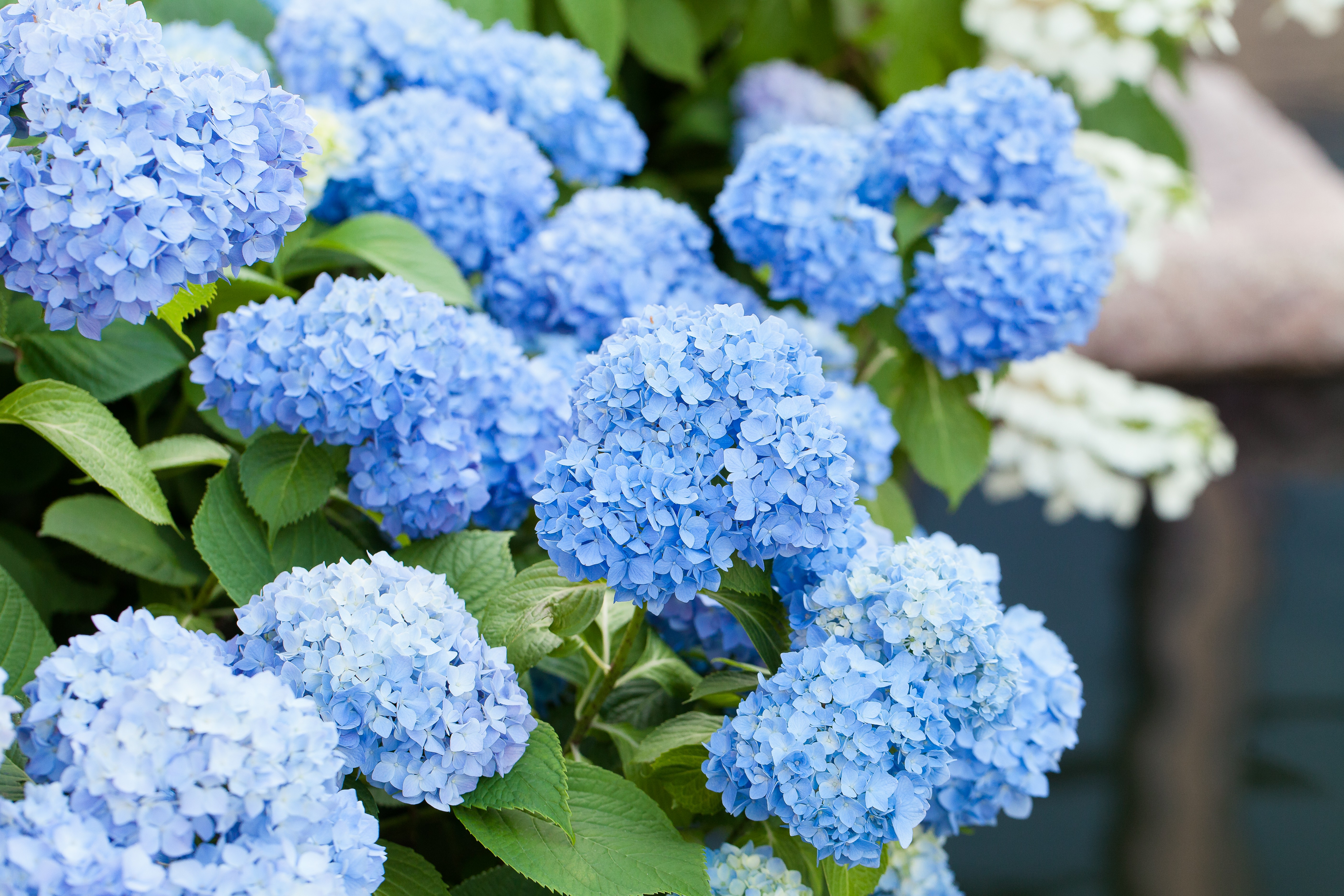 ��ӵ�������λ�����11������Ҫ��ô��