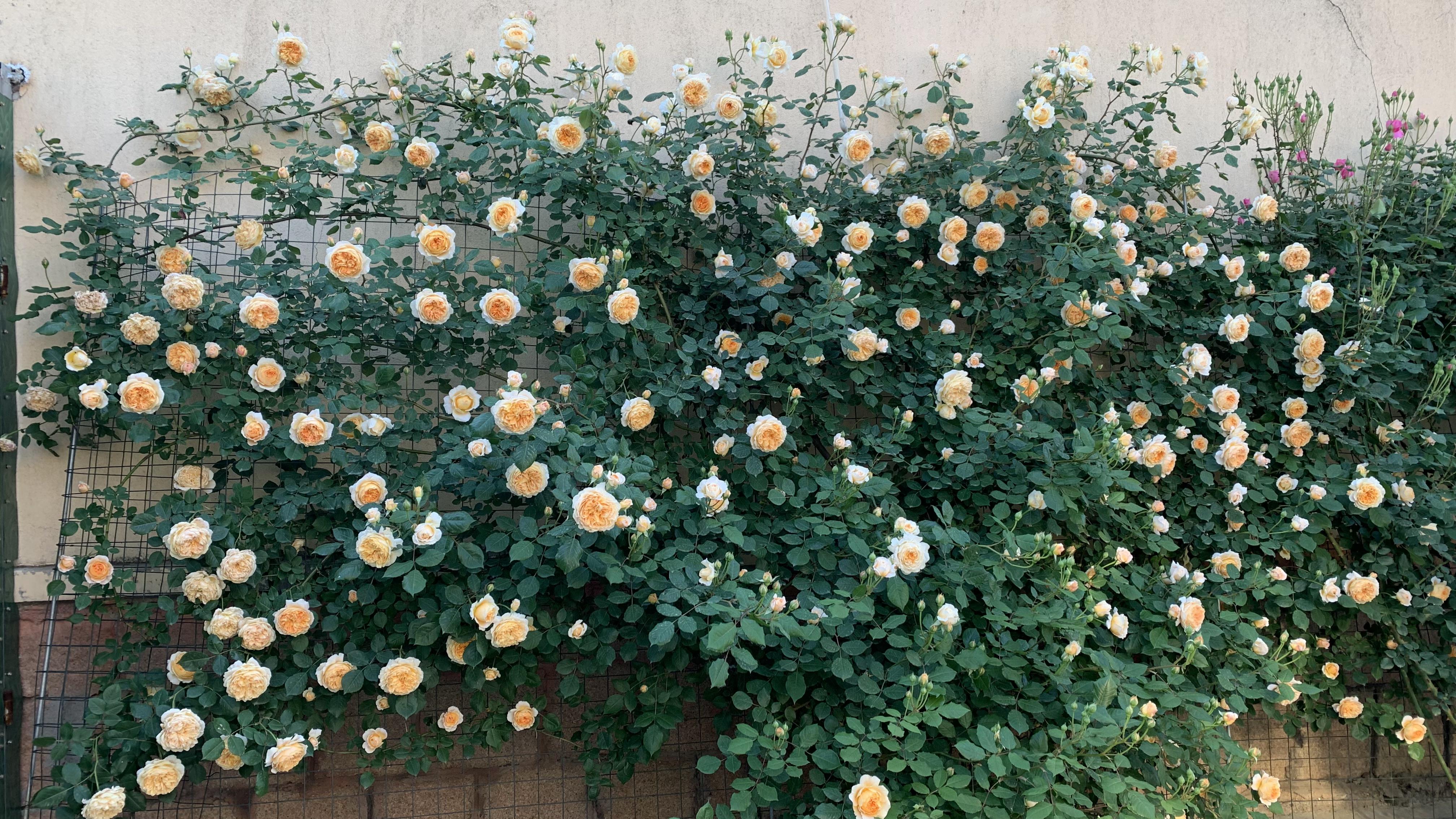 ��ķ���¼�����ָ��حһ�θ㶨�¼�һ������Ӫ������