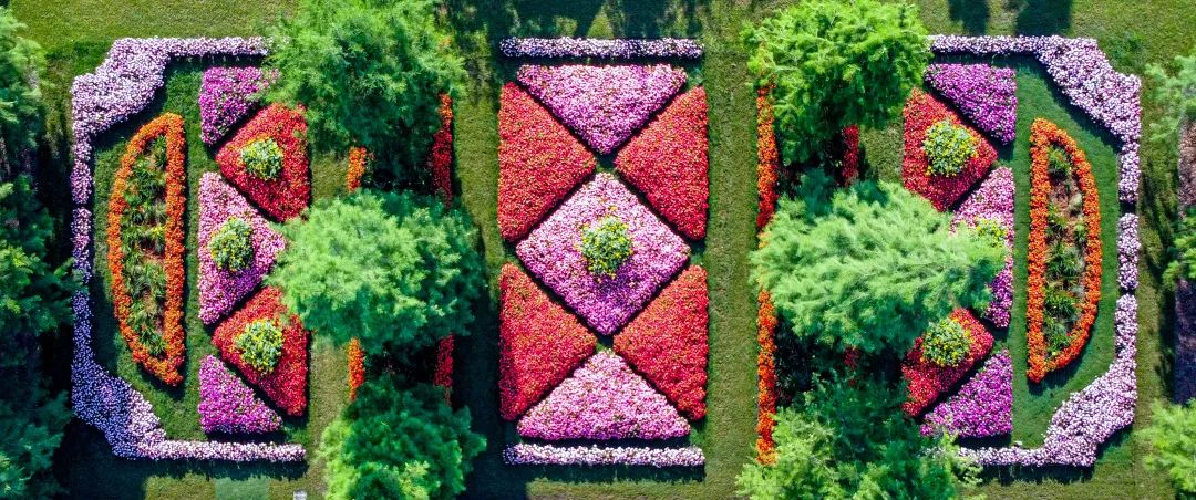 ���Ϸ��������ߵ�ɣ��˹�������������������£�