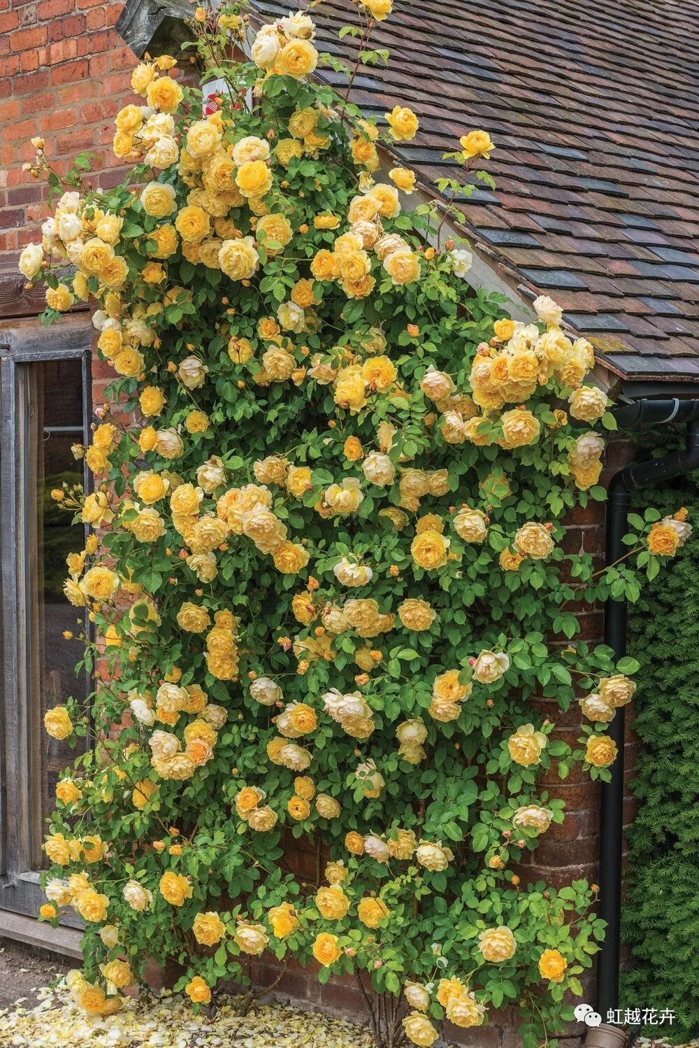 2000��������������ô�վ���ôϲ��õ����