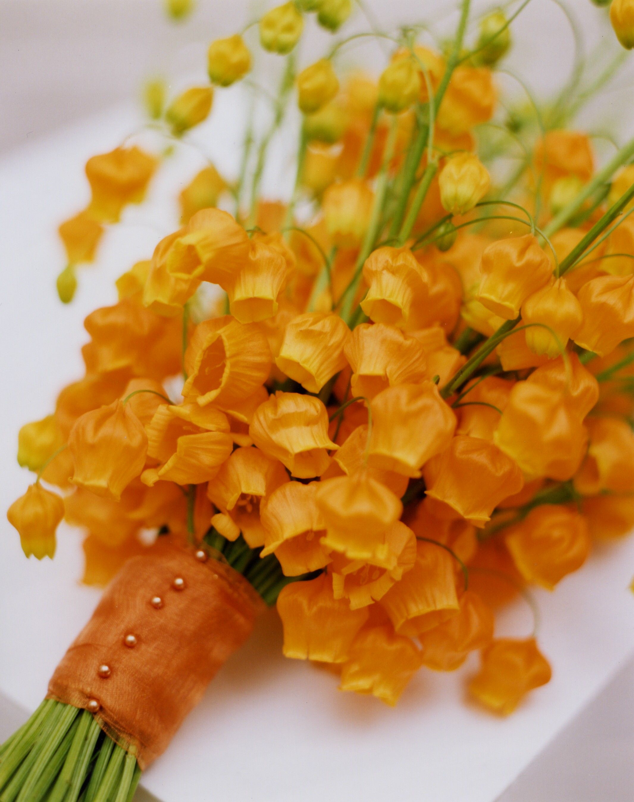 ��������С�����ġ��ٺϡ������þ���һ������