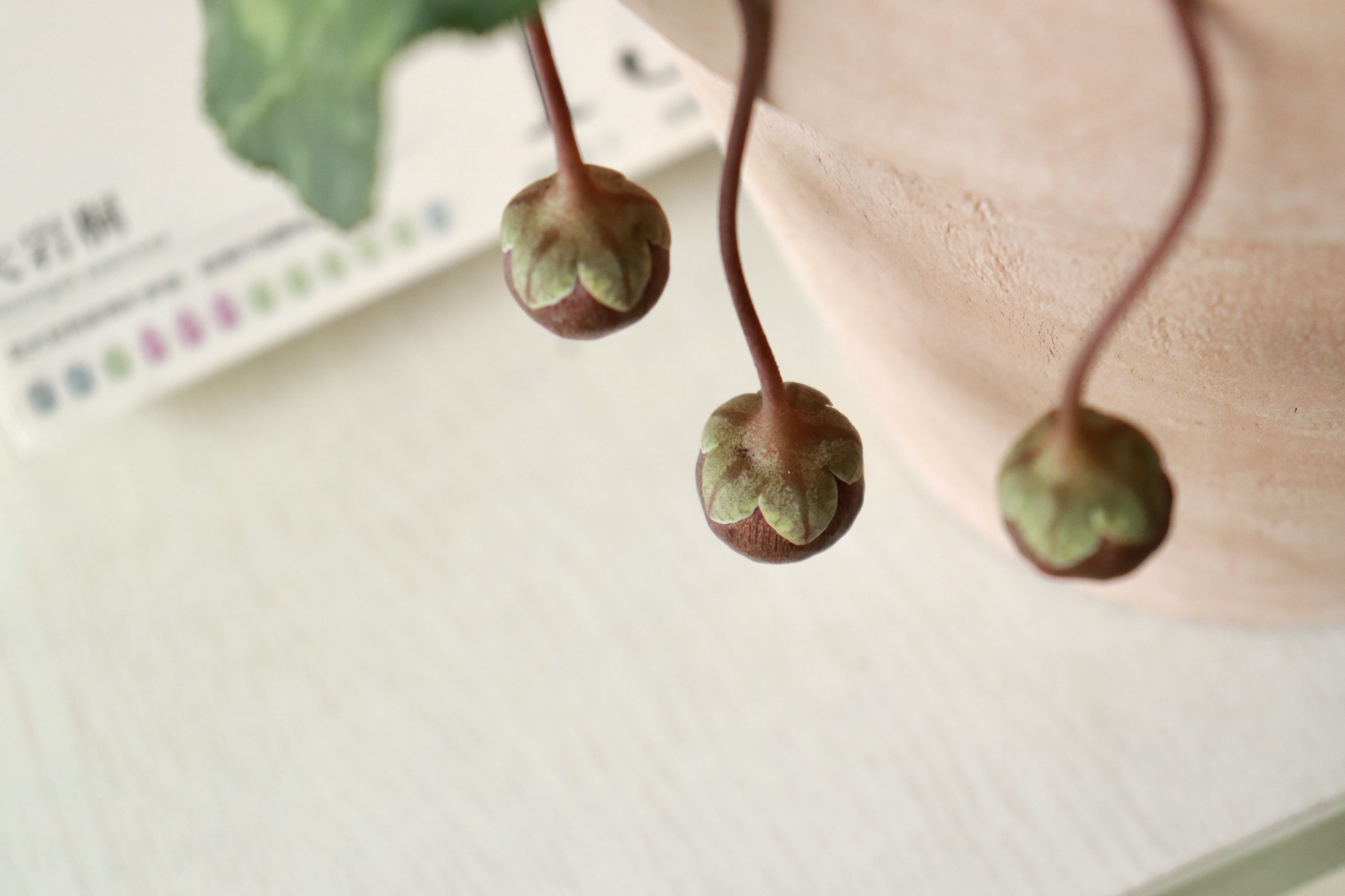 ƭ��99%���˵�������������Ȼ����������һ�������