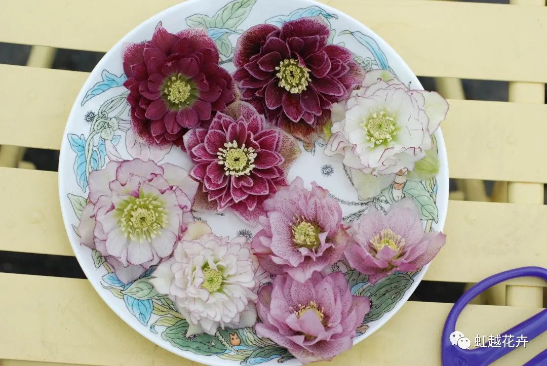 �������ּ�ֱ���Ƶ���������������Ů���������ɣ�