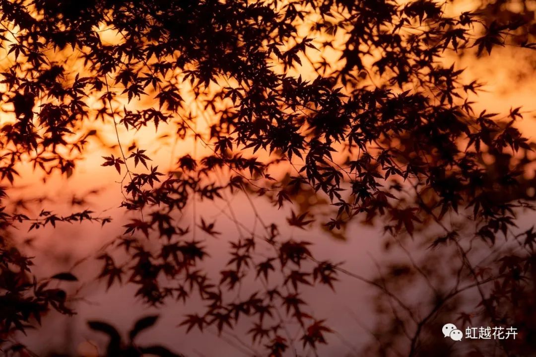 43������Ʒ�֣���̨�ֺ��Ҳ�ܾܺ���~