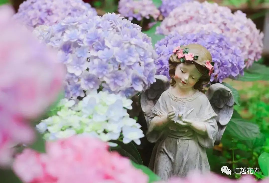 �ذ��е�ս���������־Ͼ��������λã������򻨺�����ָ�ϣ�