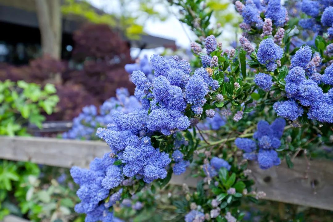 ������ë����ʱ���ͳ���������������޲�