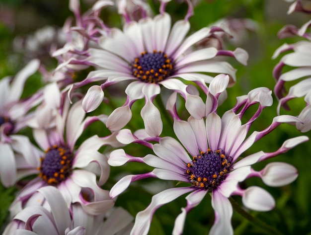 ����С�������确�������͡�����Ŀ������ʵ�ж�ɰ���